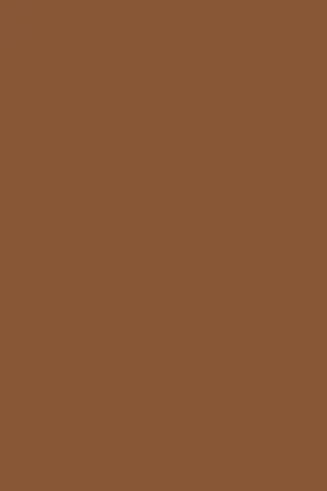 Brown belt Beth with PC monogram detail - Image 5