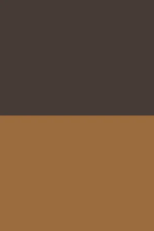 Camel/dark-brown classic reversible belt Tyler with Polo Club detail - Image 4