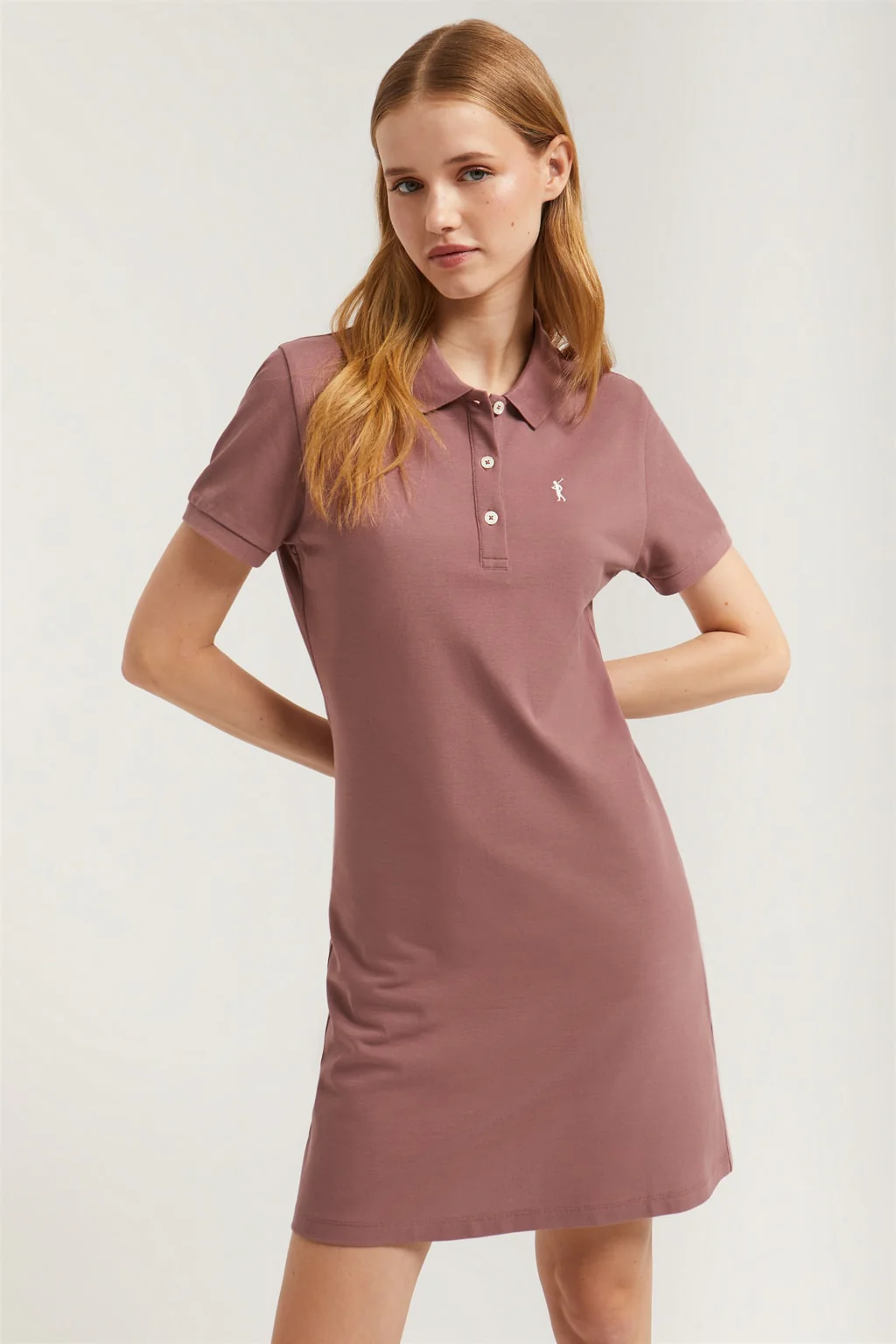 Taupe short-sleeve popover dress with Rigby Go embroidery