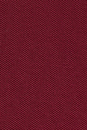 Maroon short polo dress with short sleeves and Rigby Go logo - Image 10