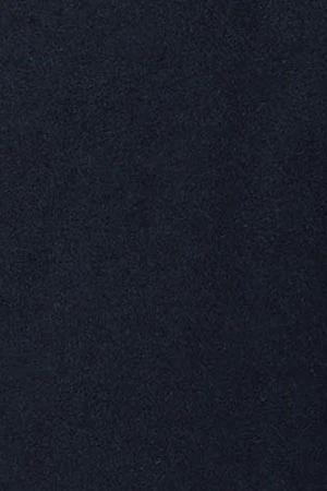 Navy-blue Calum peacoat with Polo Club details - Image 13