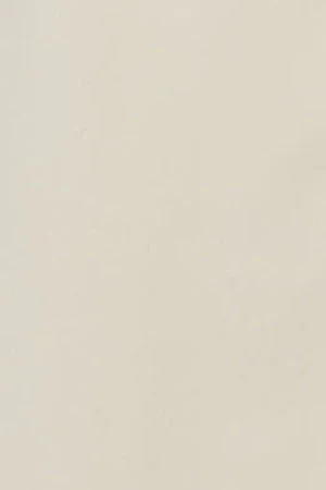 Beige Celia trench coat with Polo Club details - Image 13