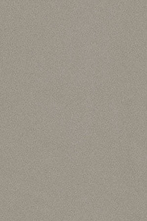 Stone-grey jacket Dorsey with Rigby Go logo - Image 11