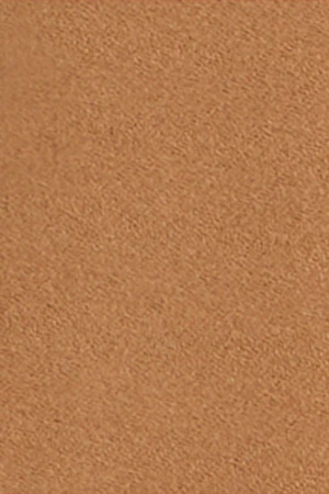 Camel double-breasted short coat Canvas with Polo Club details - Image 12