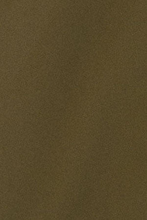 Dark-khaki jacket Voguel with Polo Club logo - Image 14