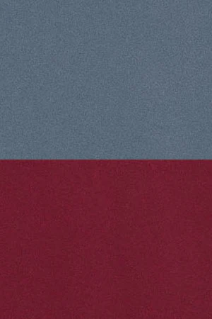 Men’s 2-pack T-shirts in denim blue and maroon with short sleeves and Rigby Go embroidery - Image 10
