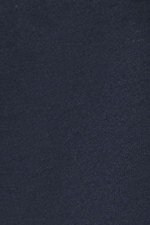 Navy-blue rugby polo shirt with Polo Club embroidery - Image 11