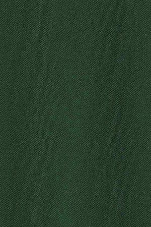 Bottle-green long-sleeve polo shirt with three buttons and Rigby Go embroidery - Image 10