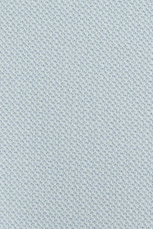 Light-blue micro-structured cotton polo shirt with Rigby Go embroidery - Image 11