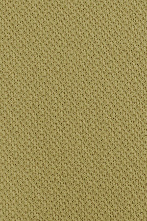 Leaf-green micro-structured cotton polo shirt with Rigby Go embroidery - Image 11