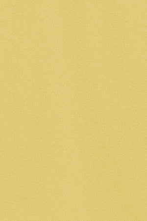 Light-yellow five-button polo shirt Pereira with Rigby Go embroidery - Image 9