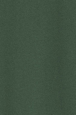 Green long-sleeve polo shirt with three buttons and Rigby Go logo - Image 10