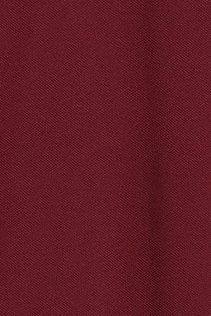 Maroon short-sleeve polo shirt with three buttons and Rigby Go embroidered logo - Image 11