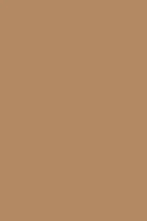 Camel bio sandals with buckles - Image 7