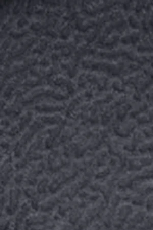 Navy-blue unisex double-buckle bio sandals Polo Club - Image 6