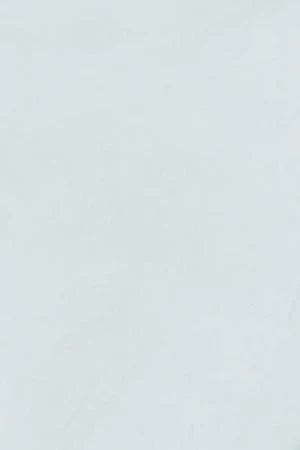 Green Oxford shirt with embroidered logo - Image 10
