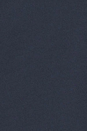 Navy-blue plain Oxford shirt with Polo Club embroidered logo - Image 8