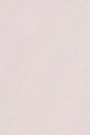 Pink plain Oxford shirt with Polo Club embroidered logo - Image 9