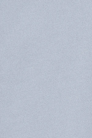 Sky-blue plain Oxford shirt with Polo Club embroidered logo - Image 8