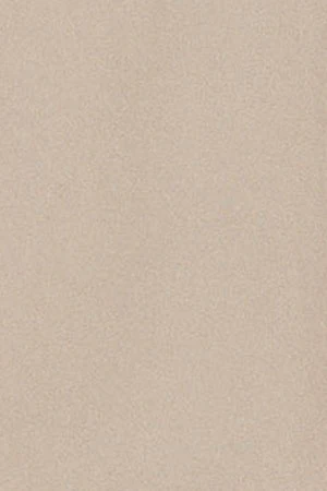 Sandy loose-fit shirt with Polo Club block logo - Image 9