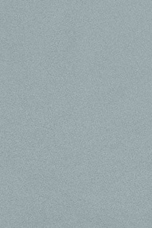 Green Oxford shirt Cambridge with pocket and Polo Club detail - Image 9