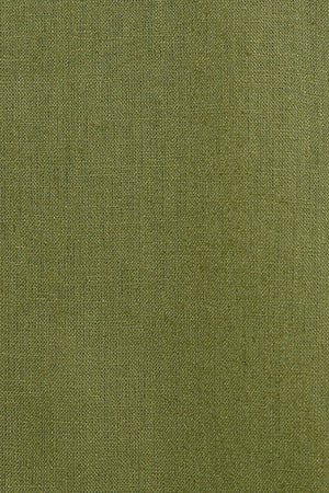 Khaki Mandarin-collar shirt in linen and cotton with Rigby Go embroidery - Image 8