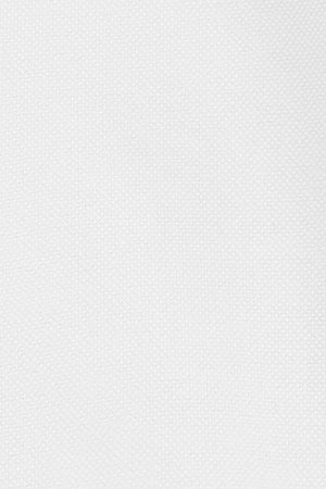White regular-fit Oxford shirt with Rigby Go logo - Image 11