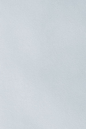 Light-blue regular-fit Oxford shirt with Rigby Go embroidery - Image 10