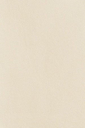 Yellow Oxford shirt with Rigby Go logo - Image 11