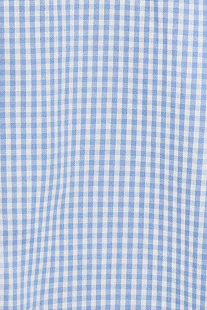 Blue vichy-check slim-fit shirt with Rigby Go embroidered logo - Image 10