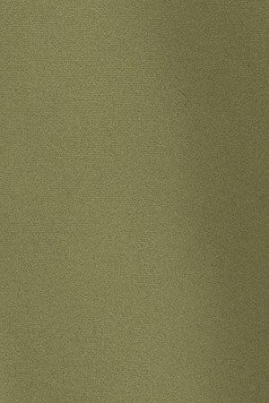 Leaf-green slim-fit poplin shirt with Rigby Go embroidery - Image 11