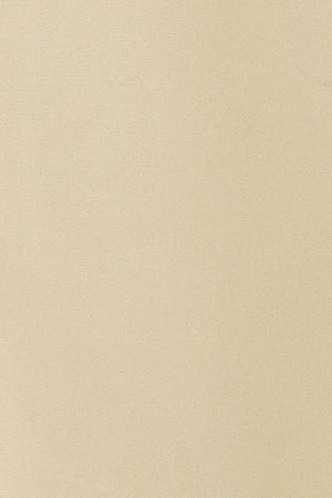 Pastel-yellow slim-fit poplin shirt with Rigby Go embroidery - Image 10