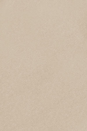 Beige slim-fit poplin shirt with Rigby Go embroidery - Image 10