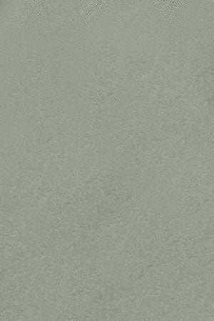 Jade-green slim-fit poplin shirt with Rigby Go embroidery - Image 10