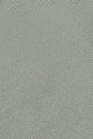 Jade-green slim-fit poplin shirt with Rigby Go embroidery - Image 11