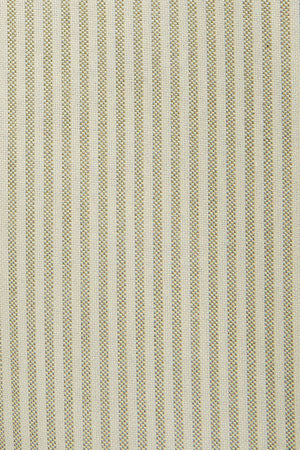 Leaf-green long-sleeve striped shirt with regular fit and Rigby Go embroidery - Image 11