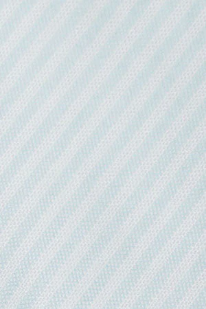 Sky-blue striped Oxford shirt with Polo Club embroidery - Image 11