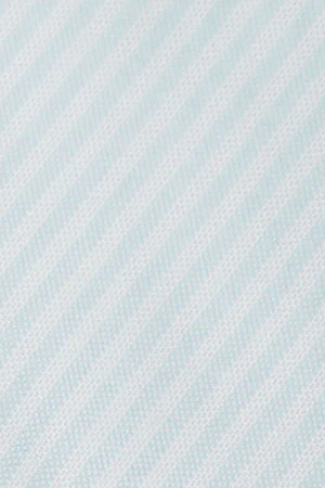 Sky-blue striped Oxford shirt with Polo Club embroidery - Image 12