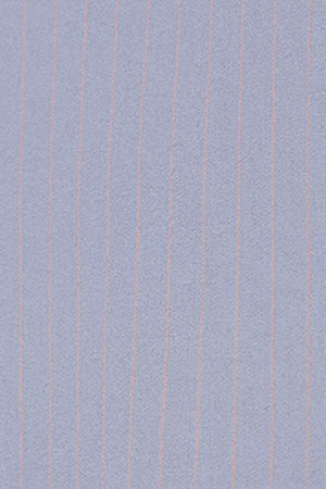 Light-blue striped cotton shirt Samanta with embroidered logo - Image 9