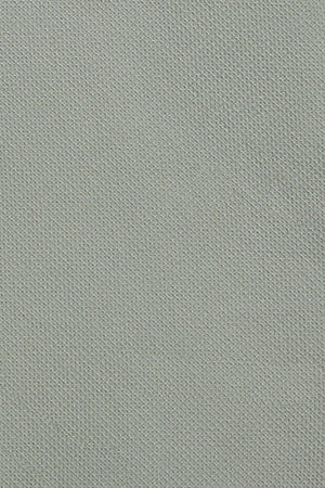 Light-green slim-fit shirt Sefora with Rigby Go logo - Image 12