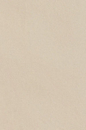 Beige cotton blouse Solar with embroidered detail - Image 9