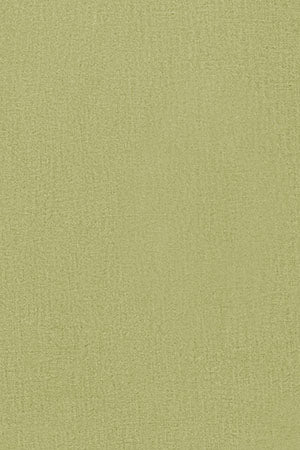 Green linen shirt with embroidered detail - Image 14