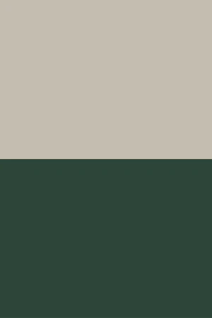 Green casual faux-leather Cornell men trainers with Polo Club contrast details - Image 7