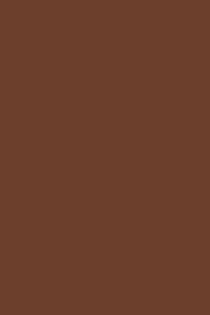 Camel faux-leather Habana men trainers with Polo Club details - Image 7