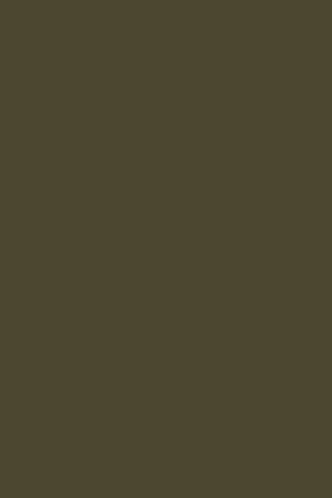 Khaki Habana canvas trainers with Polo Club details for men - Image 7