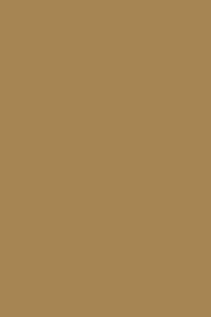 Camel bio sandal with buckles for women - Image 6