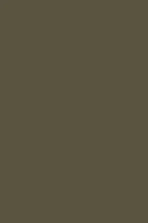 Khaki bio sandal with buckles for women - Image 6
