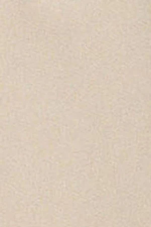Beige half-zip sweatshirt with Polo Club rubber logo - Image 9