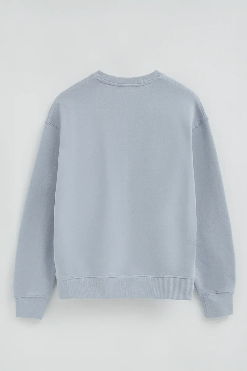 Light-blue boxy-fit sweatshirt with Established 2012 Polo Club embroidery - Image 8
