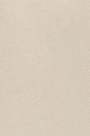Beige slim-fit sweatshirt with Polo Club logo - Image 11